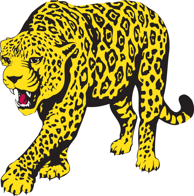 South Alabama Jaguars 1993-2007 Partial Logo diy fabric transfers